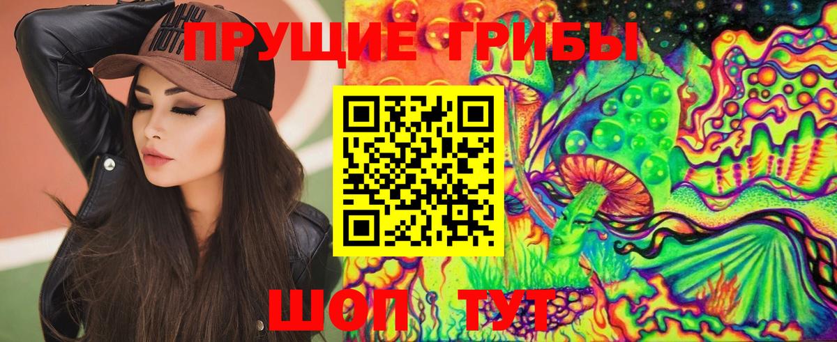 Бийск  Псилоцибиновые грибы мицелий  Вход с VPN 