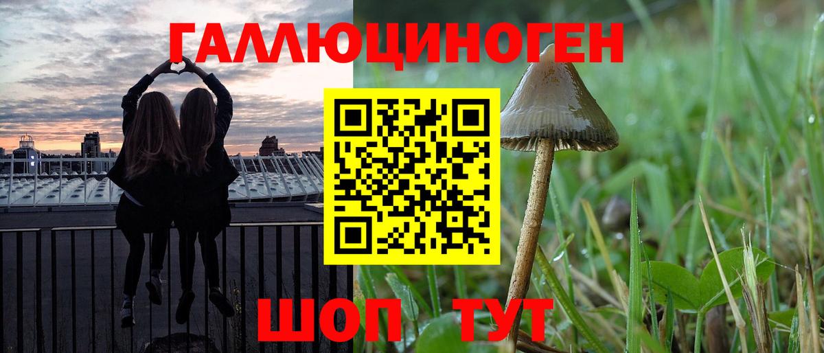 Псилоцибиновые грибы MAGIC MUSHROOMS Бийск